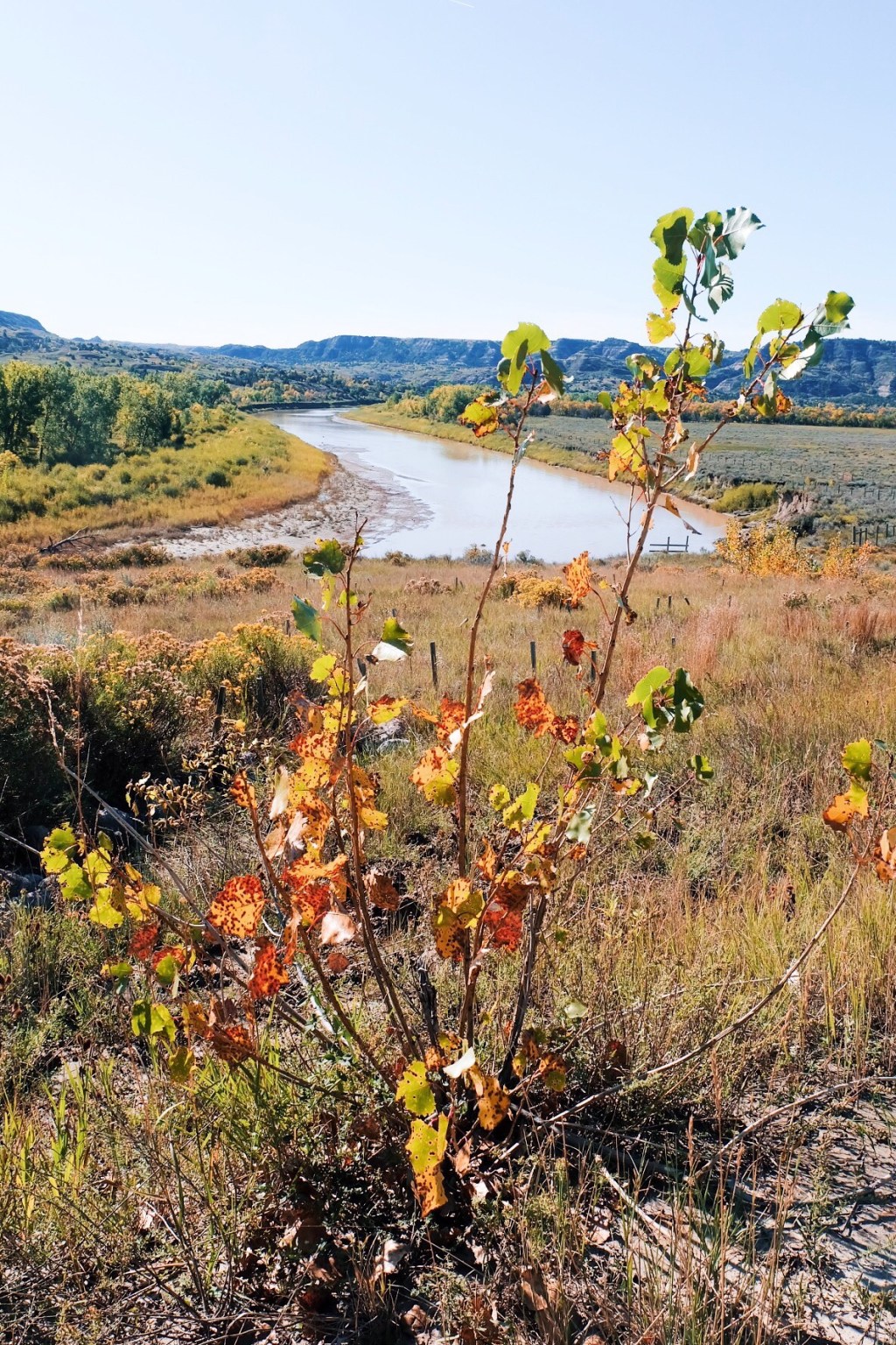 First Day of Fall | Theodore Roosevelt National&nbsp;Park