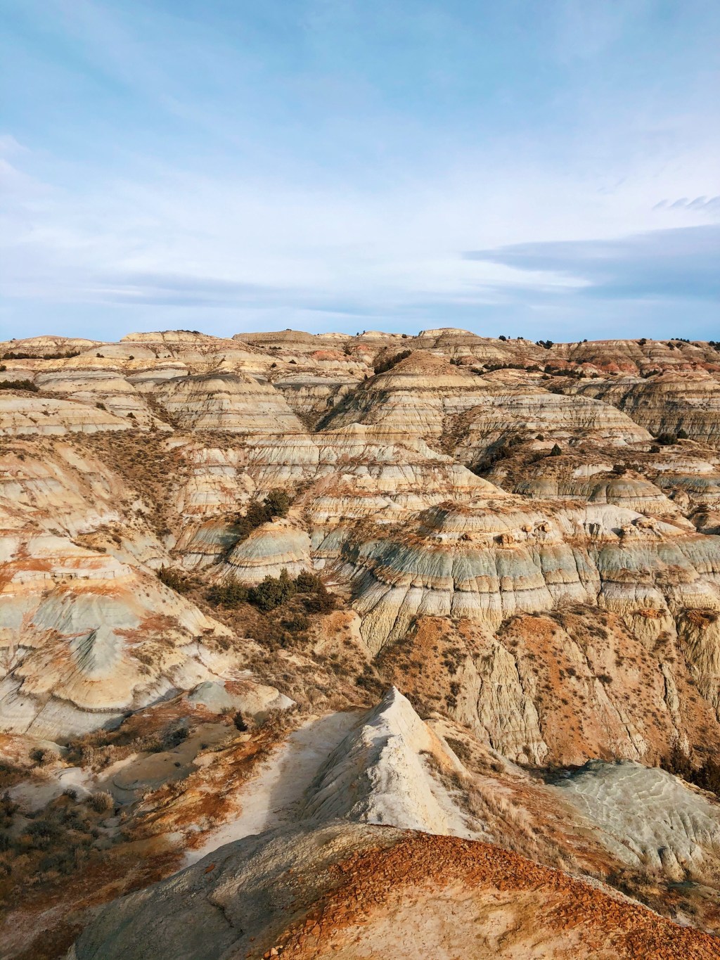 Theodore Roosevelt National Park Photo&nbsp;Journal