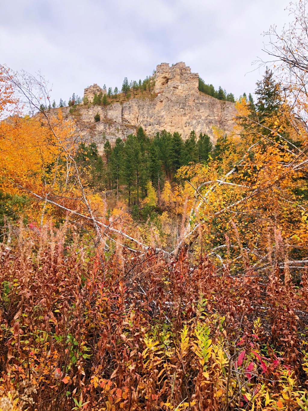 A fall trip to South Dakota&nbsp;🍁