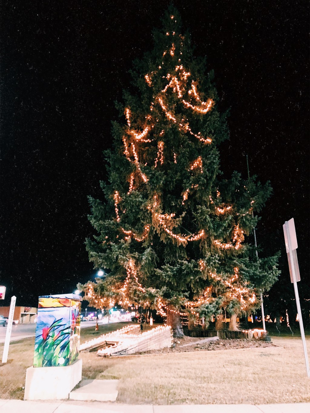 Memories of Christmas&nbsp;Past