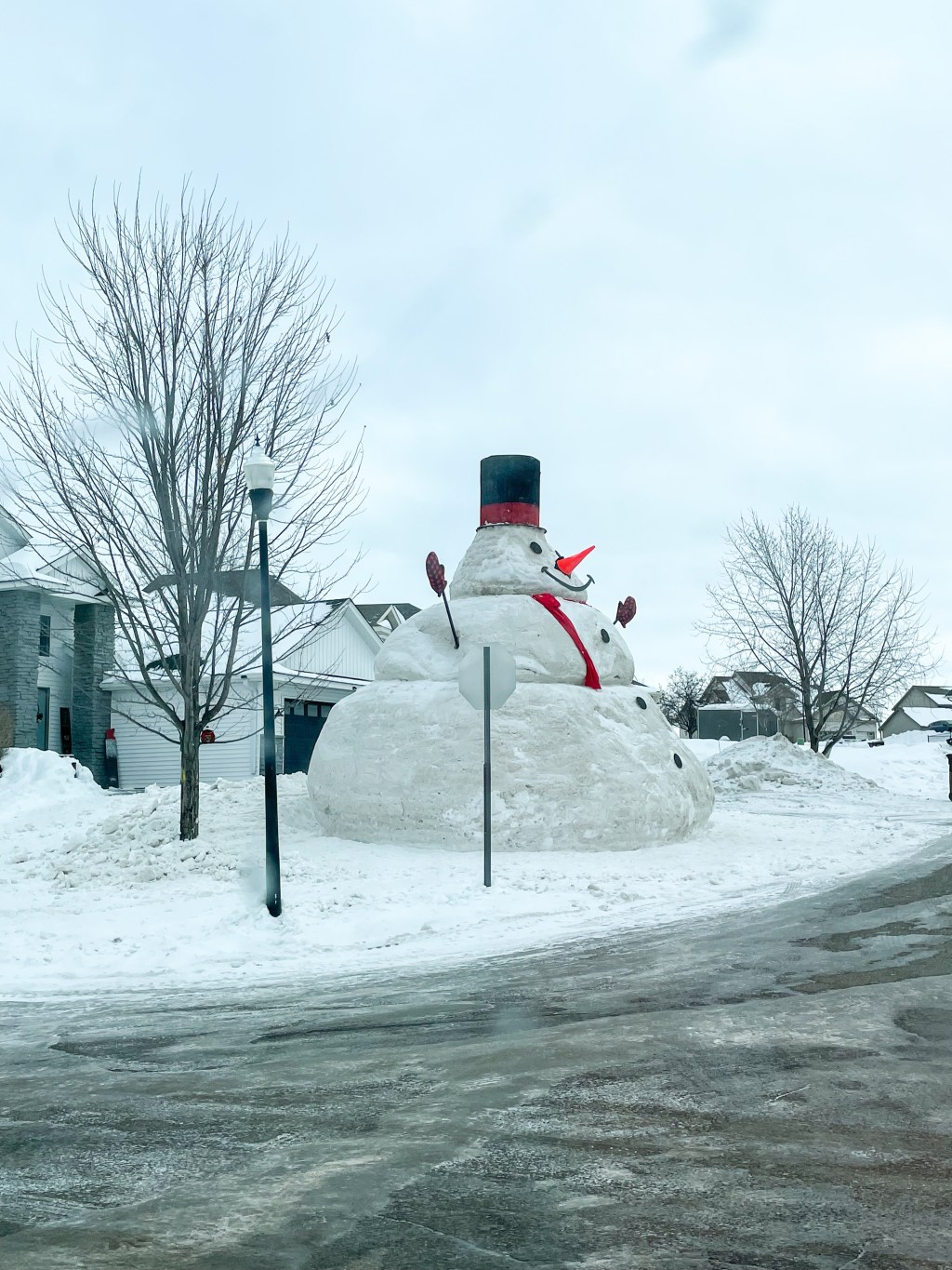 A Giant Snowman, Valentines things,&nbsp;Crumbl