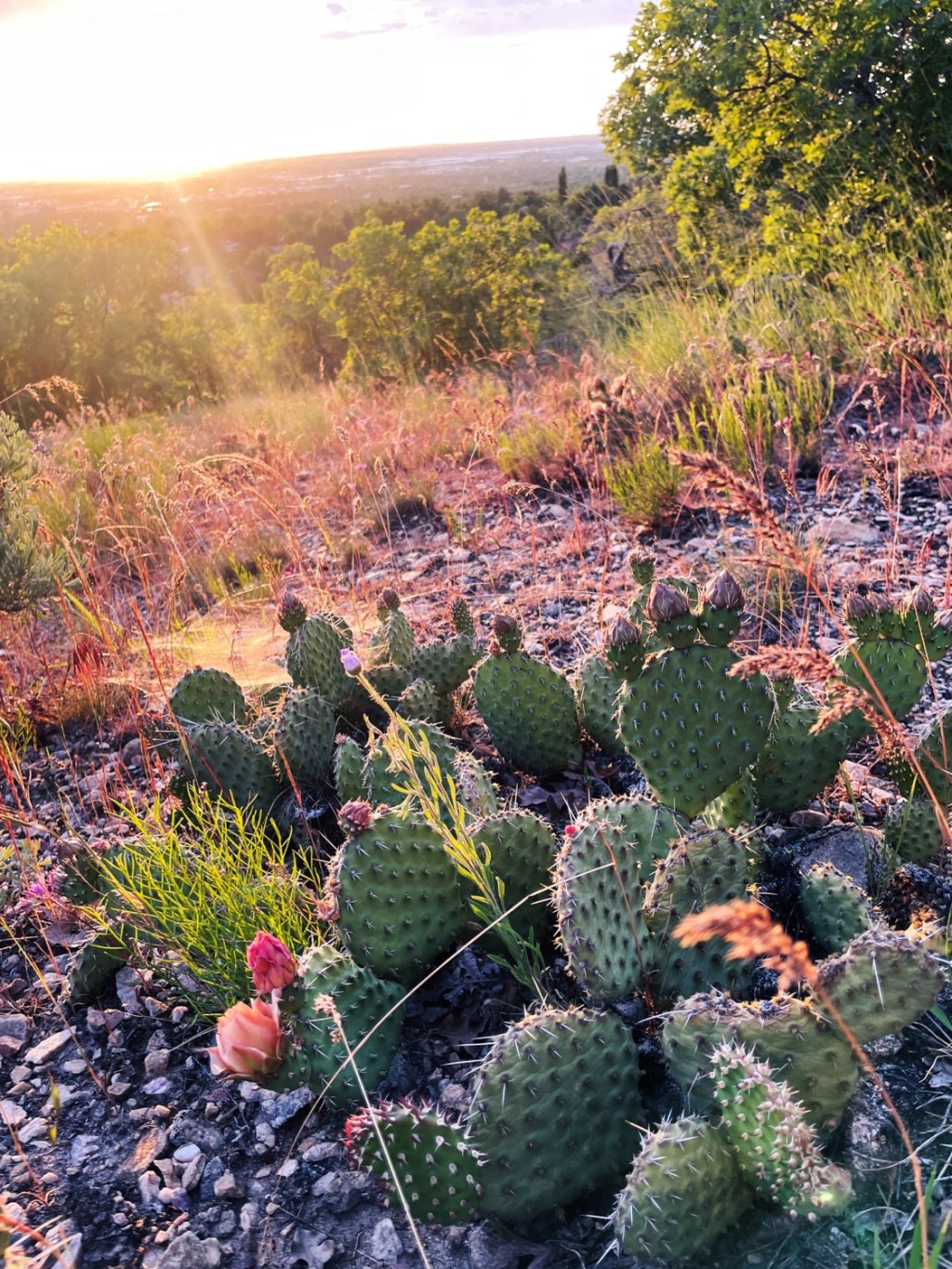 Weekend Trip to Ogden,&nbsp;Utah