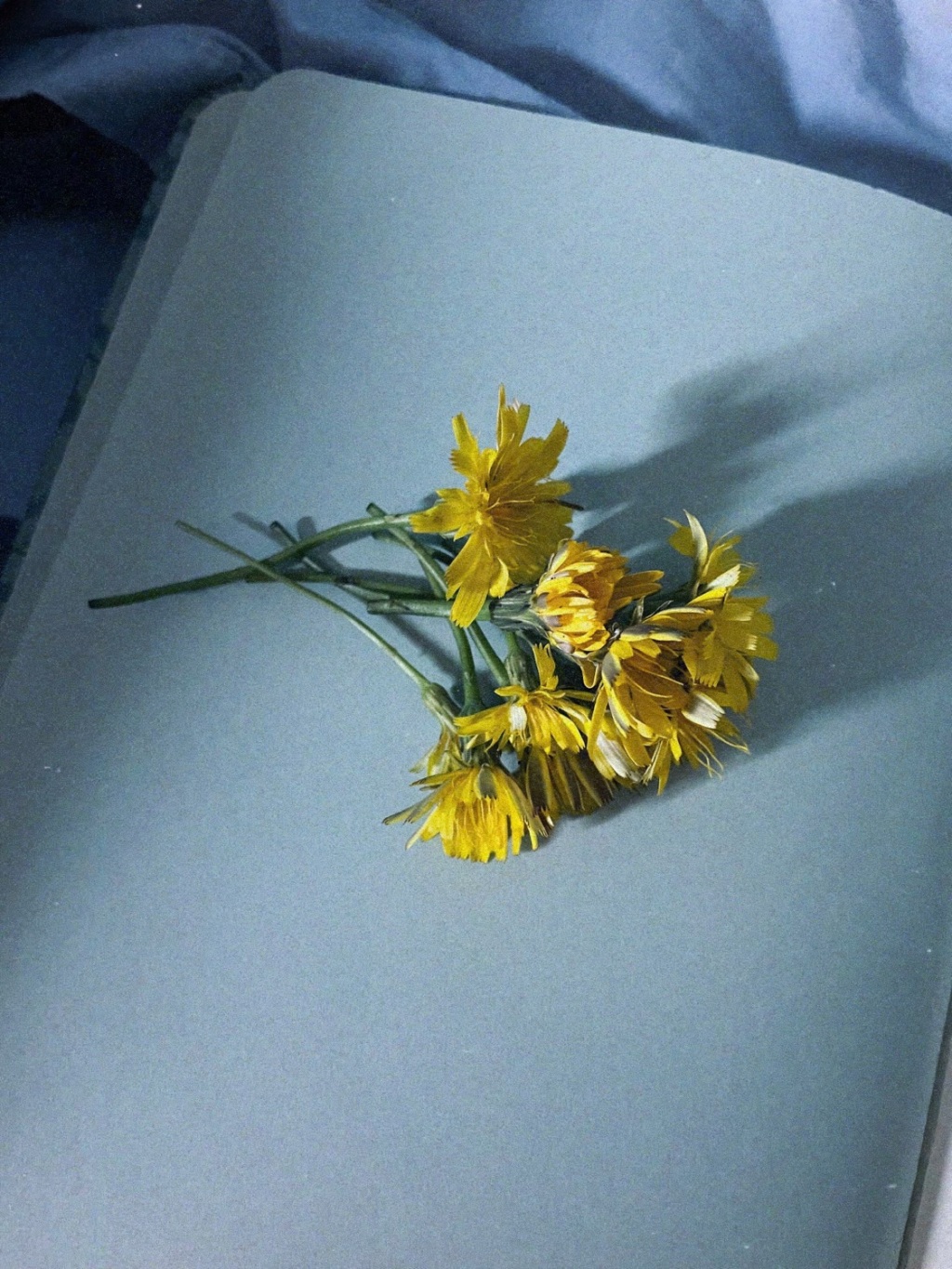 a little reminder in&nbsp;life